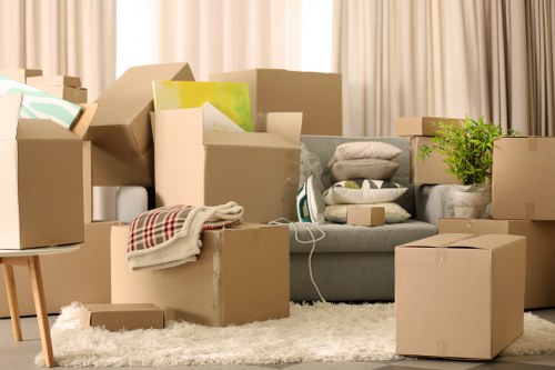 Preparing for a Docklands move with packing boxes and practical loading support